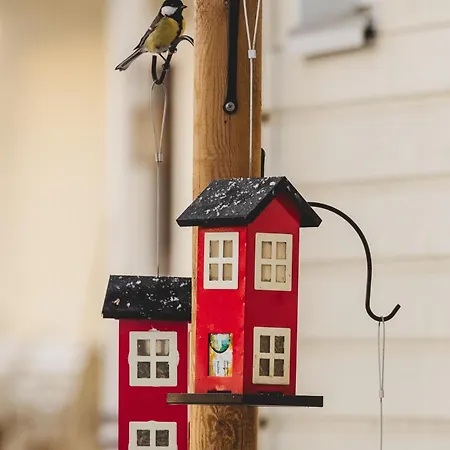 It's Arctic Magic! *