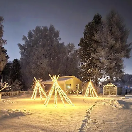 It's Arctic Magic! Daire