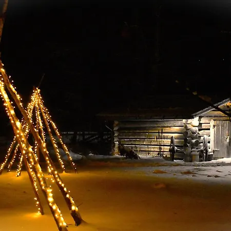 It's Arctic Magic! *