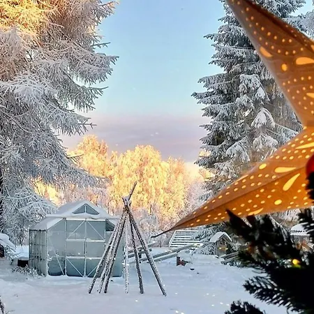 It's Arctic Magic! *