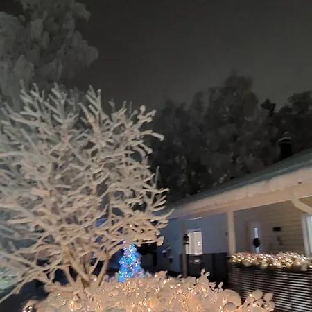 It's Arctic Magic! *