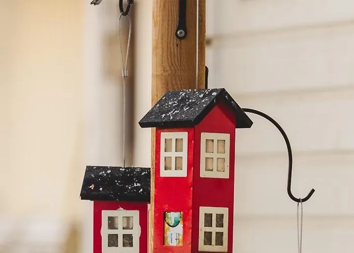 It's Arctic Magic! *