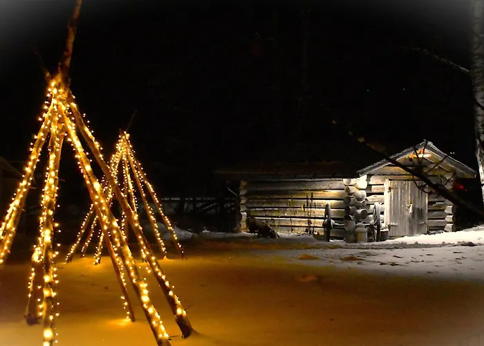 It's Arctic Magic! *