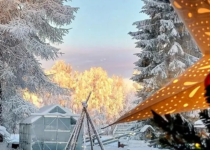 It's Arctic Magic! *