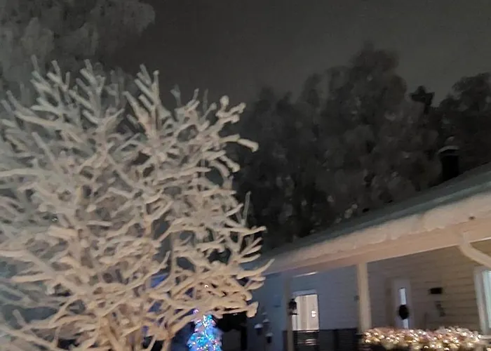 It's Arctic Magic! *