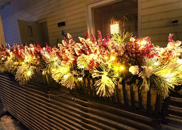 It's Arctic Magic! 로바니에미